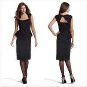 NWOT White House Black Market Pencil Dress